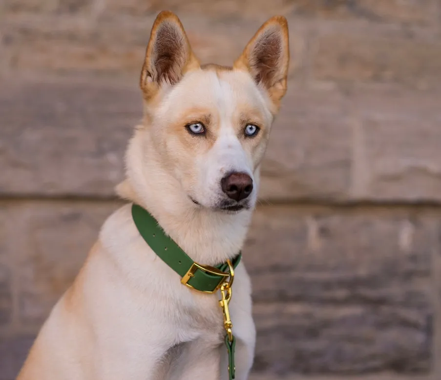 Emeraude Collar