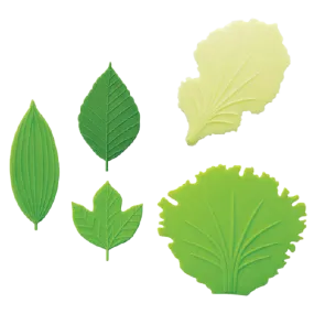 Lettuce & Leaf Silicone Dividers - Set A