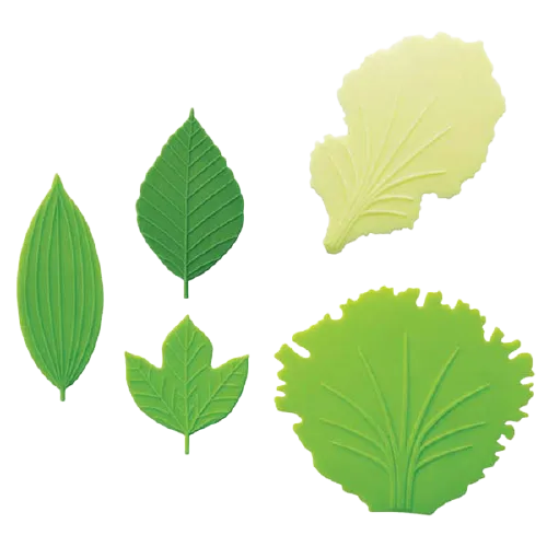 Lettuce & Leaf Silicone Dividers - Set A