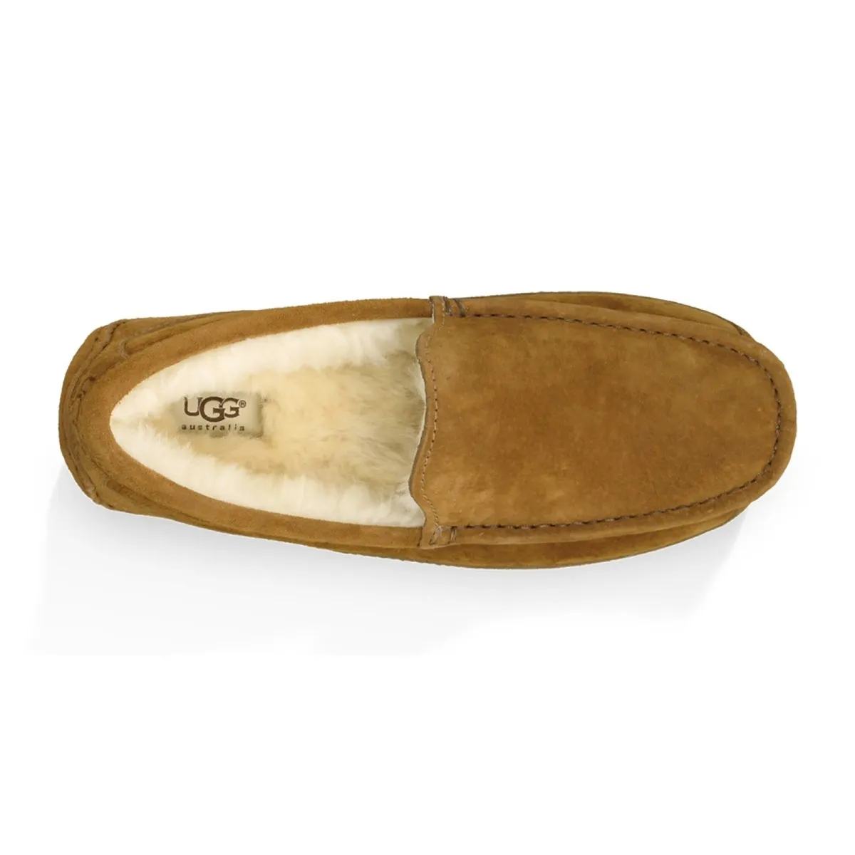 UGG Men's Ascot Chestnut Suede